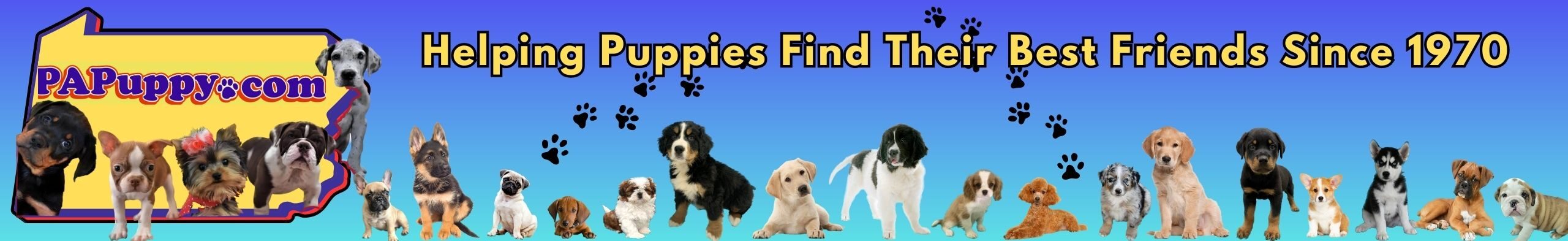 PAPuppy
